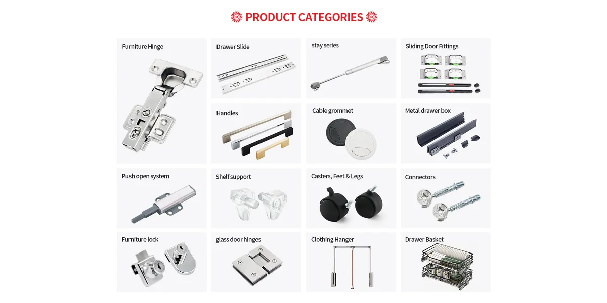 SKY-H001 Concealed Pivot Cabinet Hinge